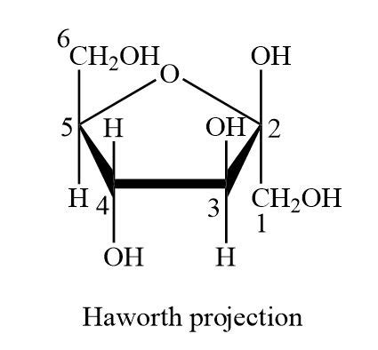 Fructose: Draw the structure of the D form, the Fischer projection, and the Haworth structure of ...