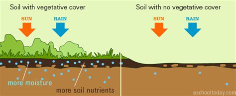 Part 2 | Factors Responsible for the Formation of Soil, Soil Profile ...