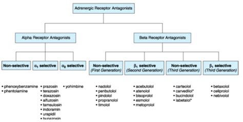 35 Which Nonselective Alpha-adrenergic Blocking Agent Is Still Used - Luke-has-Stanley