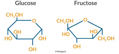 Glucose Molecule Structure