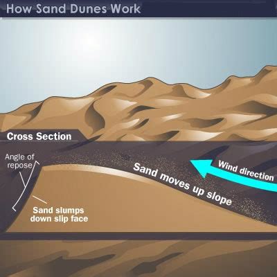 GC341ET Dawning of a Dune (Earthcache) in Washington, United States created by crouchcrew