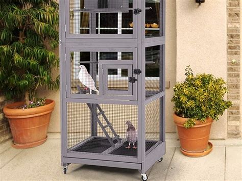 6 Best 2 Budgie (Parakeet) Cage Living Comfortable Reviews