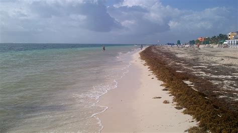 Puerto Morelos beach - jewel of the Riviera Maya only 20 min south of ...