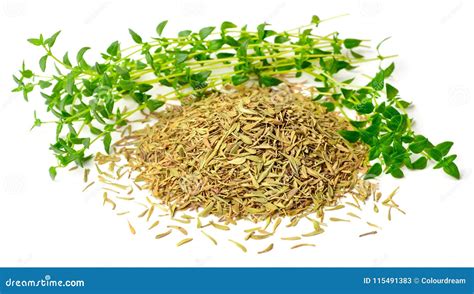 Dried Thyme Leaves with Fresh Thyme Isolated on White Stock Image ...