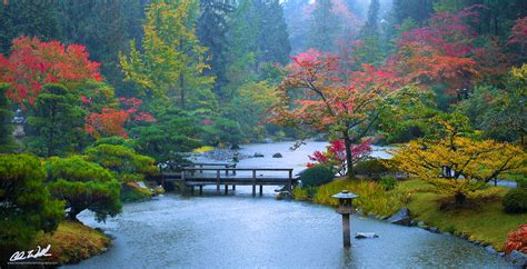 Seattle Japanese Garden