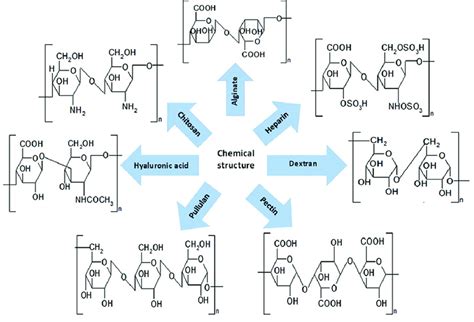 Polysaccharide Chemical Structure