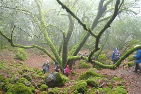 Weekend hikes in Sonoma Valley