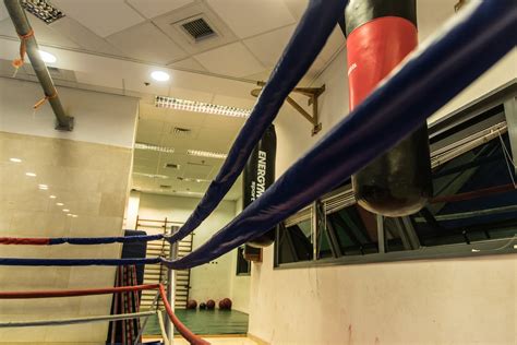Free stock photo of boxing, gym, punching bag