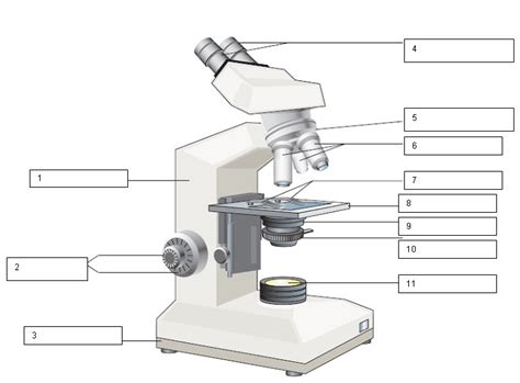 Microscope clipart unlabeled, Microscope unlabeled Transparent FREE for download on ...