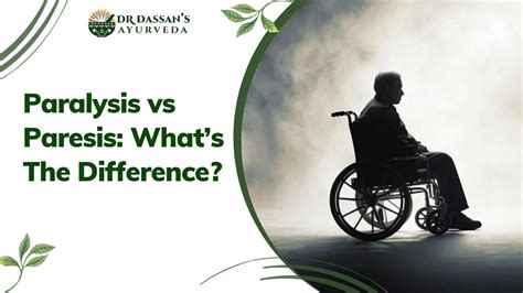 Paralysis vs Paresis: What’s The Difference?