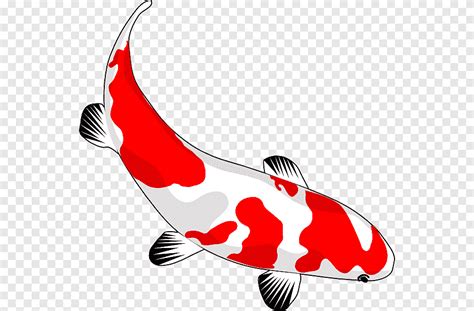 Gambar Ikan Koi Kartun Berwarna - Goldfisch Fische Koi Kostenlose ...