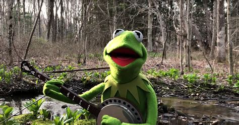 Kermit the Frog Sings Heartfelt Self-Isolated Rendition of “Rainbow Connection”