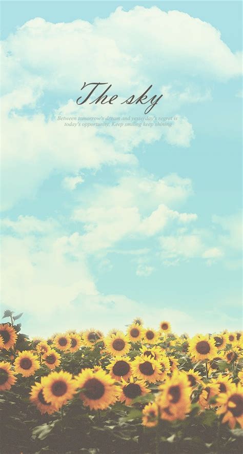 Sunflowers Sky Wallpapers - Wallpaper Cave