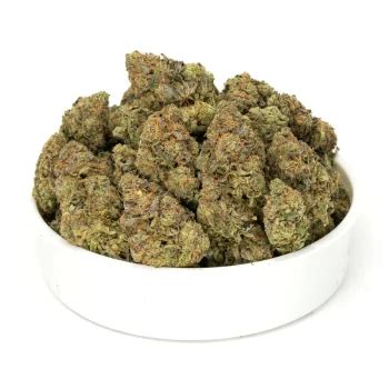 Black Cherry Strain | Weedapproach