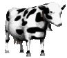 Pictures Animations Cows MySpace Cliparts