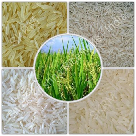 Types of Basmati Rice