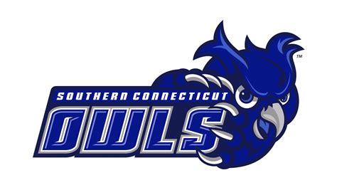 15. Southern Connecticut State University - mediafeed