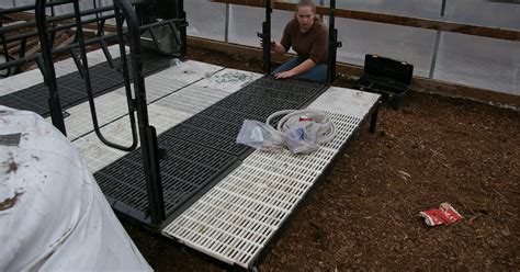 meat: Assembling the farrowing crates