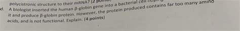 Solved polycistronic structure to their mRNA? (2 d. A | Chegg.com