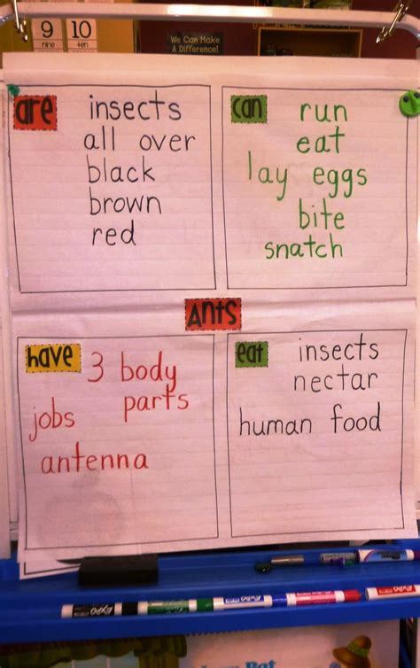 Animal Reports Graphic Organizer Kindergarten Science, Teaching Literacy, Teaching Writing ...