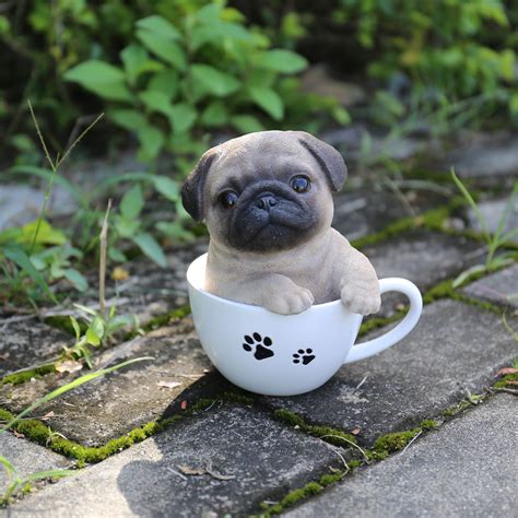 Hi-Line Gift Ltd. Teacup Pug Puppy Statue | Hayneedle Black Pug Puppies, Tiny Puppies, Cute ...
