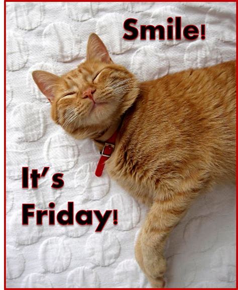 Best 25+ Its friday meme ideas on Pinterest | Happy friday meme, Happy ...