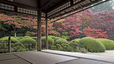 Wallpaper : Japan, trees, courtyard, zen garden 2560x1440 - wall1223 - 1742717 - HD Wallpapers ...