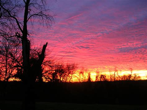 early morning sky | Morning sky, Sky, Celestial