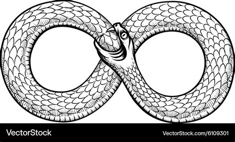 Snake curled in infinity ring ouroboros devouring Vector Image