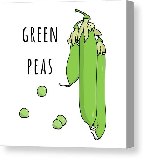 Pea Pod Drawing | Free download on ClipArtMag