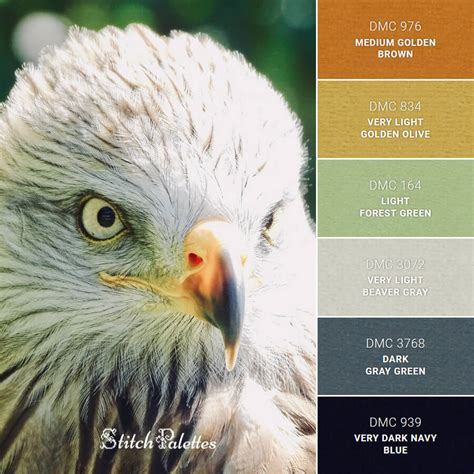 Eagle Eyes - Embroidery Color Palette (With Thread Codes)