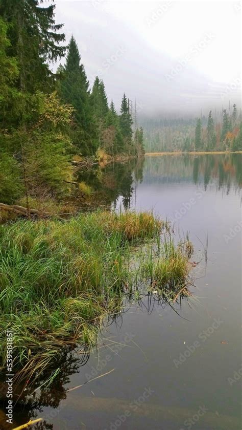 Lake Laka with floating islands on the surface is the smallest ...