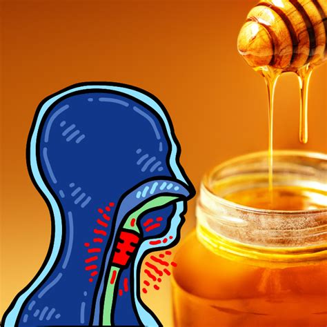 The Benefits Of Honey For Sore Throat Relief