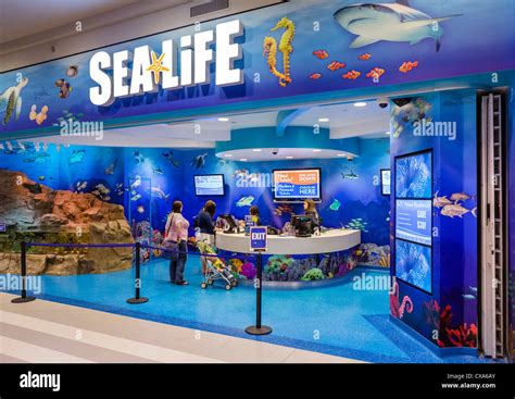 Ticket desk at the Sea Life Aquarium in the Mall of America, Bloomington, Minneapolis, Minnesota ...