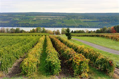 6 Best Keuka Lake Wineries to Visit for Tastings & History