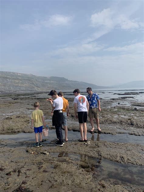 Quick Round-Up: 4 (Dog-friendly) Lyme Regis Beaches For Sunshine Weekends | Your Easy Guide!