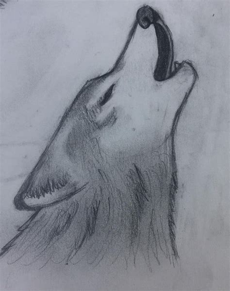 Wolf Drawing Easy Wolf Drawing Wolf Howling Drawing - vrogue.co