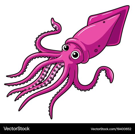 Cartoon squid Royalty Free Vector Image - VectorStock