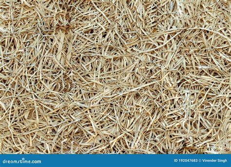 Hay Dry Grass Backdrop Background Texture Stock Image - Image of bale ...