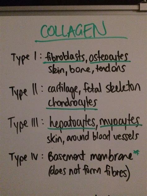 Collagen Types Mnemonic | Madep Decoration