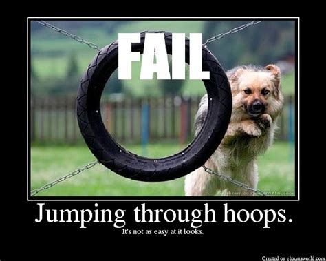 Jumping through hoops. - Picture | eBaum's World