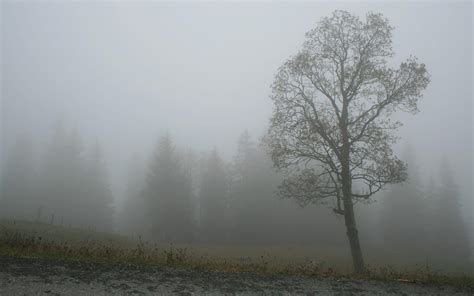 Foggy Wallpapers - Wallpaper Cave