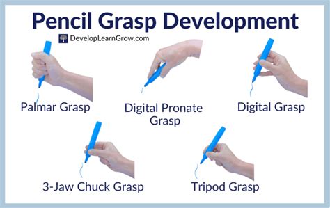 Development of Pencil Grasp - How to Promote a Functional Grasp with 5 ...