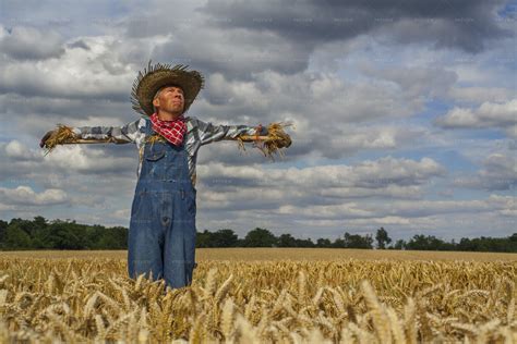 Field Scarecrow - Stock Photos | Motion Array