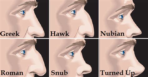 Here’s What The Shape Of Your Nose Reveals About Your Personality