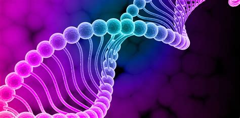 What is Genetics and Variation? - Scholars Globe