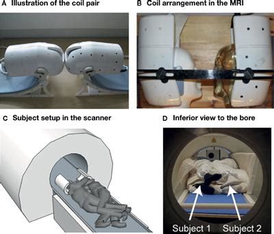 Frontiers | Imaging Real-Time Tactile Interaction With Two-Person Dual-Coil fMRI
