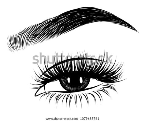 Illustration of woman's sexy luxurious eye with perfectly shaped eyebrows and full lashes. Hand ...