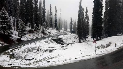 Fresh snowfall blankets Jammu and Kashmir, Ladakh | Today News