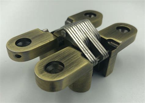 Professional Durable Concealed Cabinet Hinges Antique Brass Finish